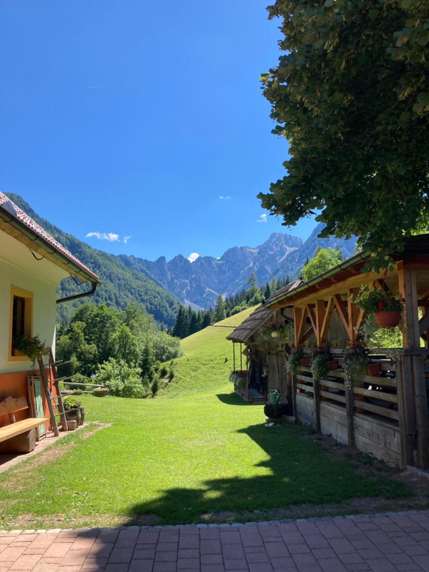 Tourist Farm Gradisnik Apartment Solcava Exterior photo