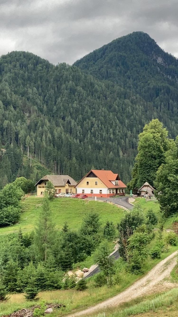 Tourist Farm Gradisnik Apartment Solcava Exterior photo