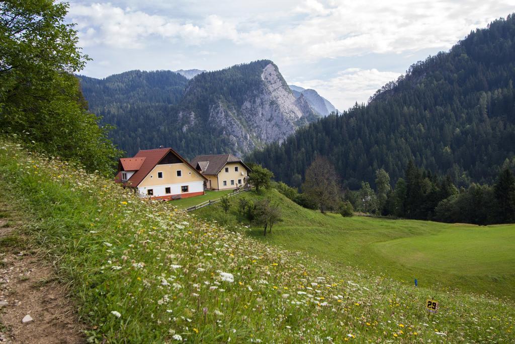 Tourist Farm Gradisnik Apartment Solcava Exterior photo